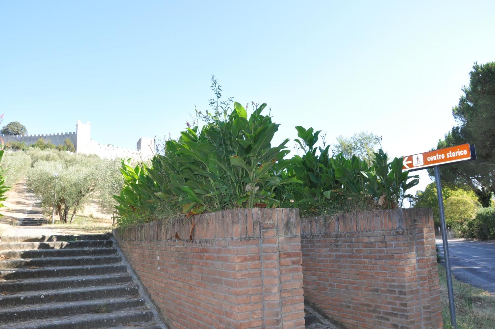 Residence Al Lago Castiglione del Lago Bagian luar foto